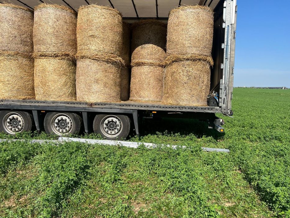 Baloti lucerna rotunzi min.40.Drept.500 sau fan Transport inclus RO UE