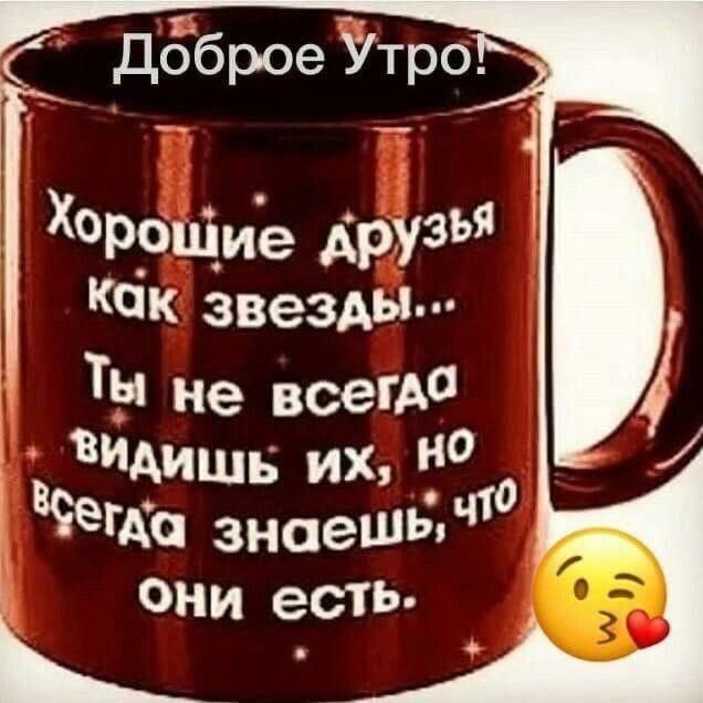 Чемодан: штанга и гири. 50кг. Новый