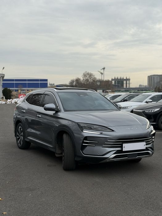 Chempion 2024 gibrit