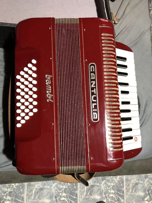 Acordeon Cantulia Bambi