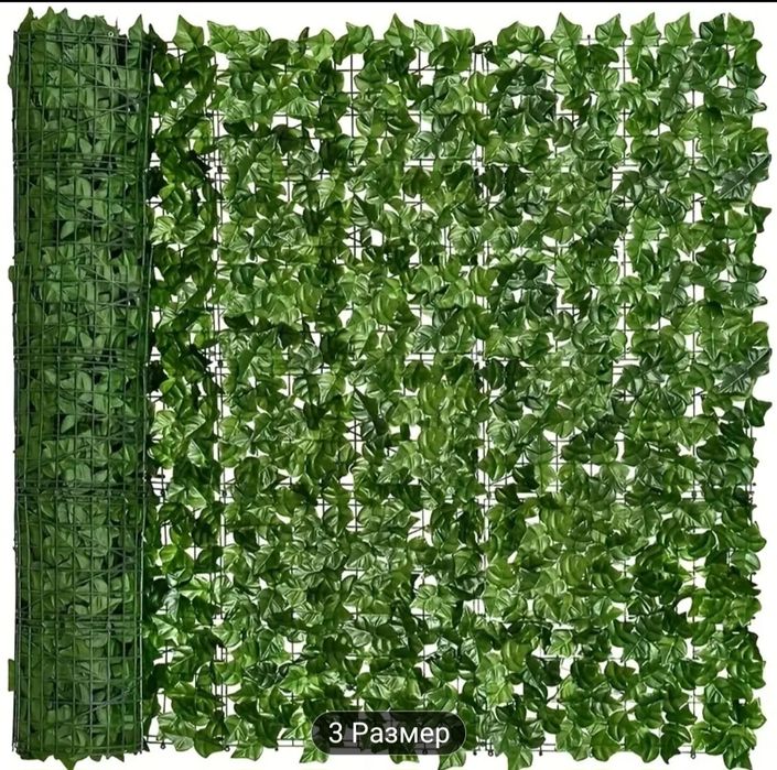 Зелена ограда за 12лв от 65лв