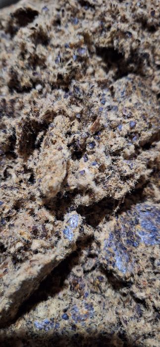 Ekalogik toza kunjara