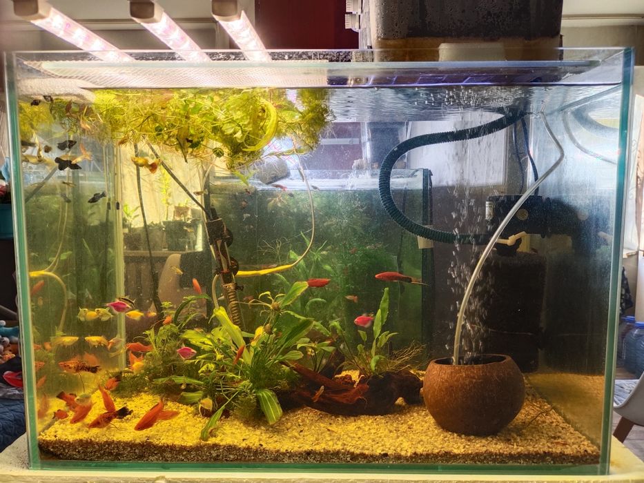 Продам красивый аквариум с рыбами.
