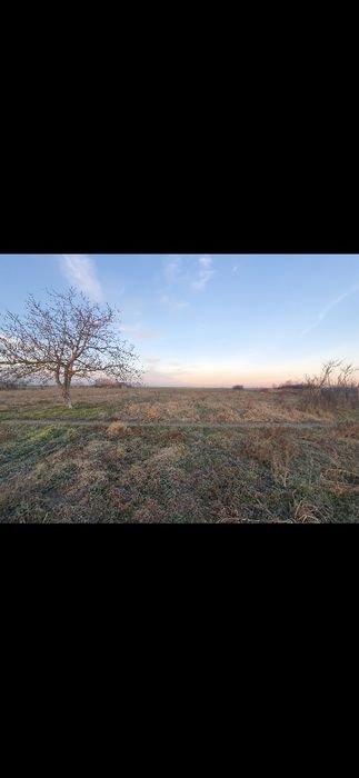 Vând teren intravilan 1.100 mp în Cenad județul Timiș 8 € / mp