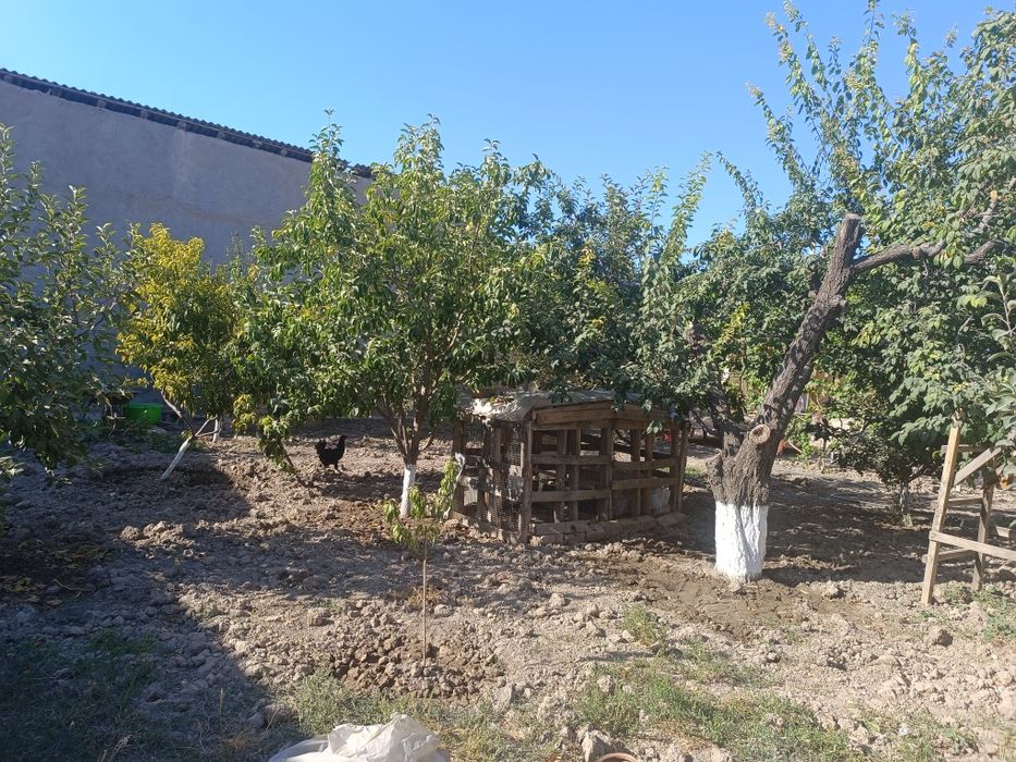 Продается участок в дурмени