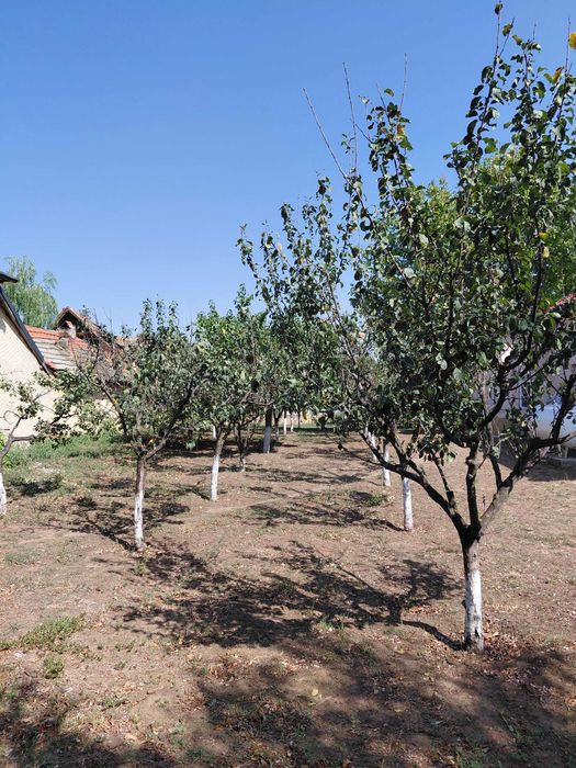 Vând teren intravilan