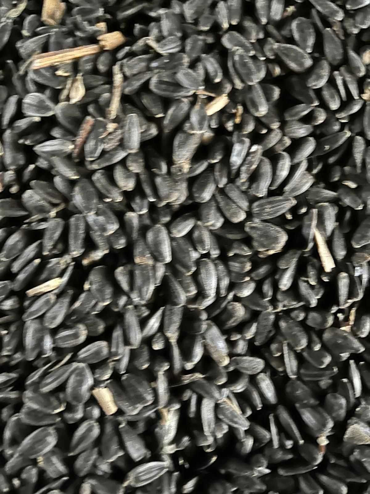 Vand grau porumb si floarea soarelui