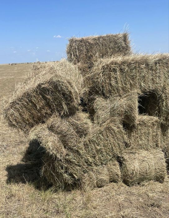 Продам сено в тюках