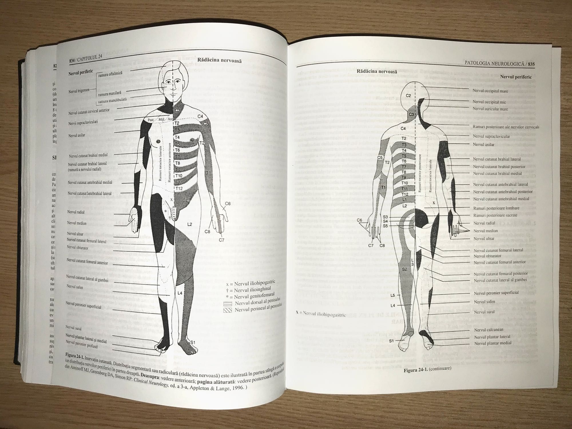 Pediatria Tratat & Diagnostic si Tratament in Practica Medicala.