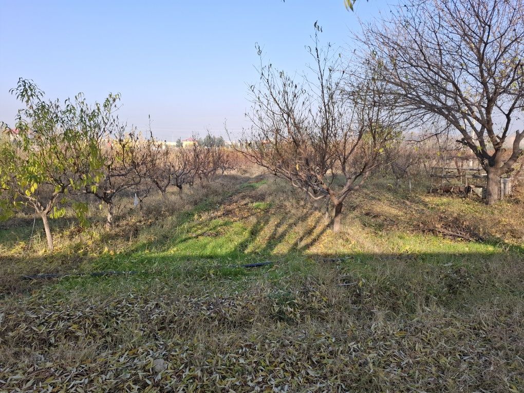 Бог ижарага берилади
