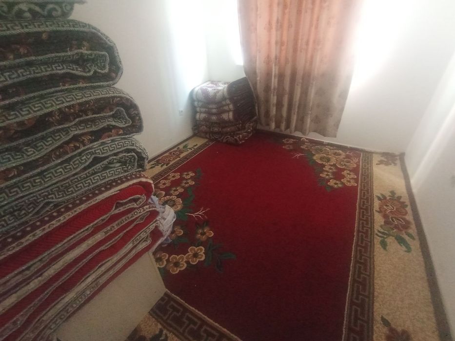 Kvartira sheriklikka o'qiydigan ishlaydigan bollarga