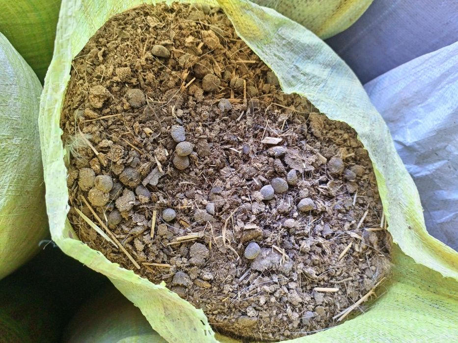 Қўй гўнги, кой гонг навоз сотилади