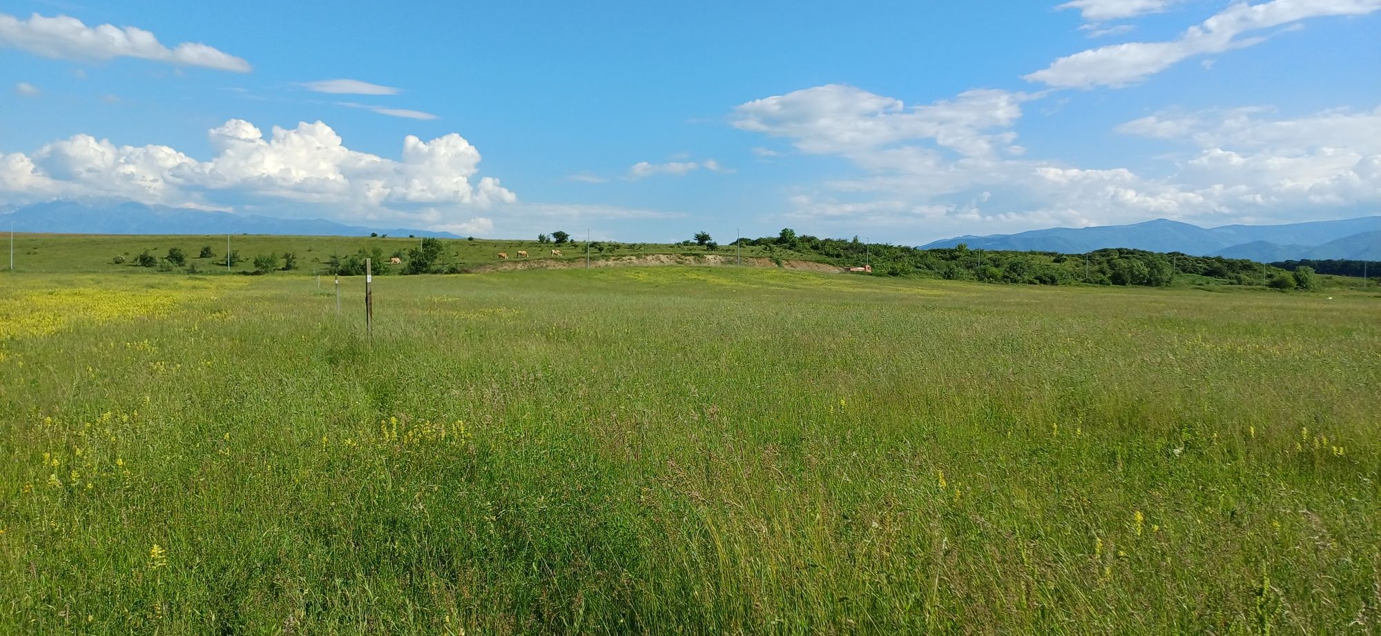 Teren intravilan 500mp Sibiu/Șelimbăr