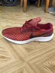Nike Zoom Pegasus 35