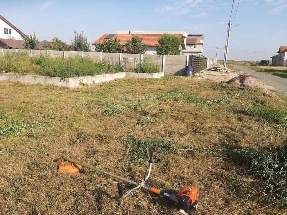 Servicii Profesionale Grădină: Defrișare, Tăiere Pomi, Gazon