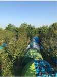 Camping Electric Castle Bontida