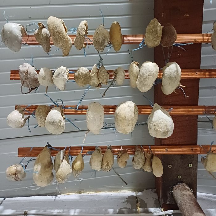 Cheaguri de miel naturale