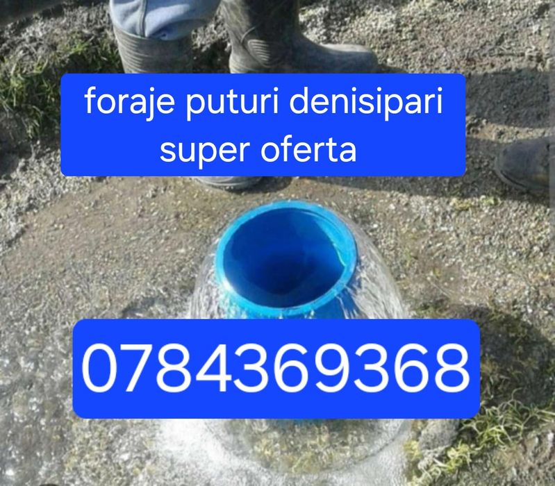 Foraje puturi denisipari super oferta