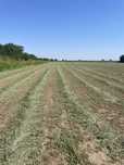 Lucerna 4 hectare