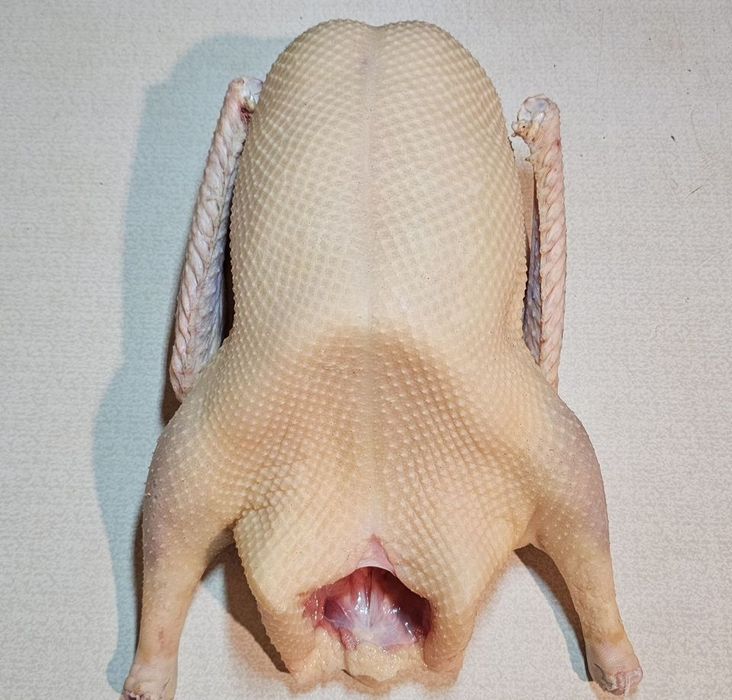 Продам тушки гусей породы Линда 2500