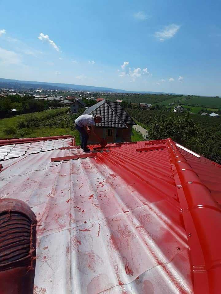 Vopsitor tabla pe acoperis la casa, garduri, porti si alte suprafete