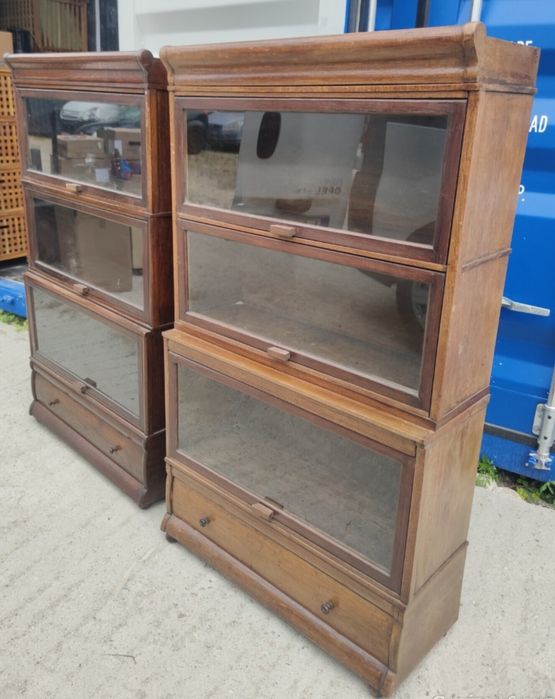 Vitrină de biblioteca Lingel 100de ani