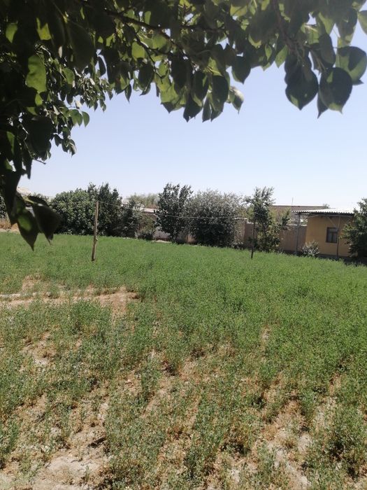 Paxtachi tumani Oxunboboyev f/x M-37 trassa yoqasida hovli sotiladi