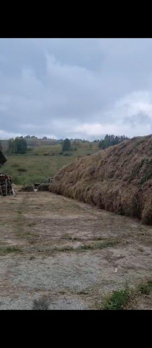 Продам сено в тюках