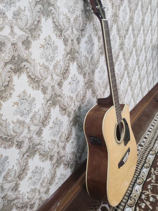 Akustik Gitara ibanez