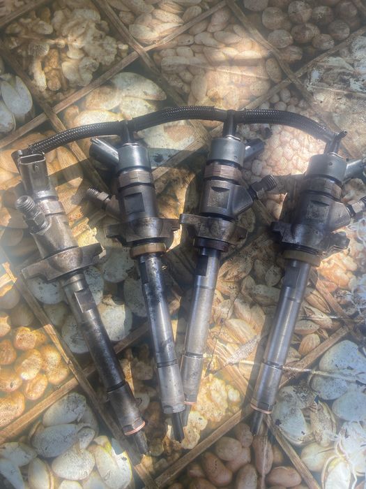 Vand injectoare peugiot 1,6 hdi
