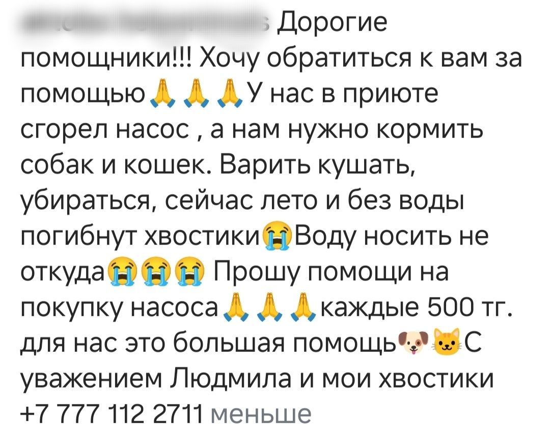 Приют нуждается в помощи