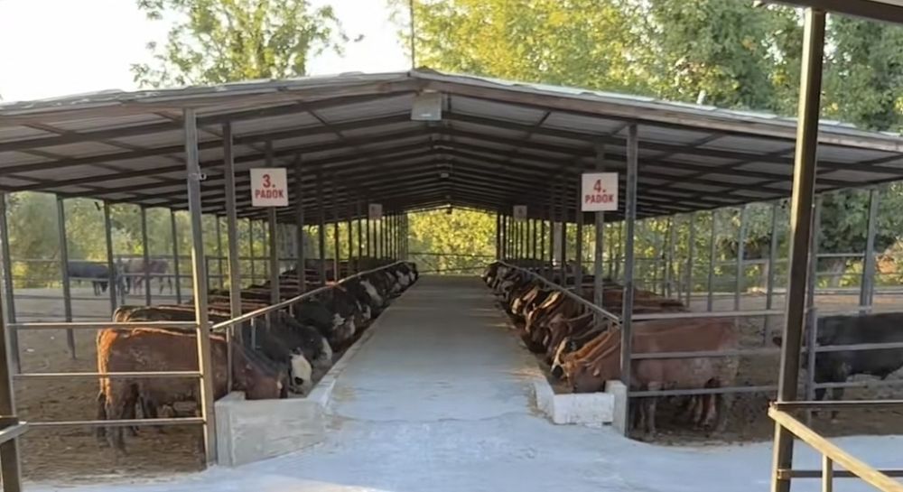 Vand structura metalica din stoc 14x15x4m