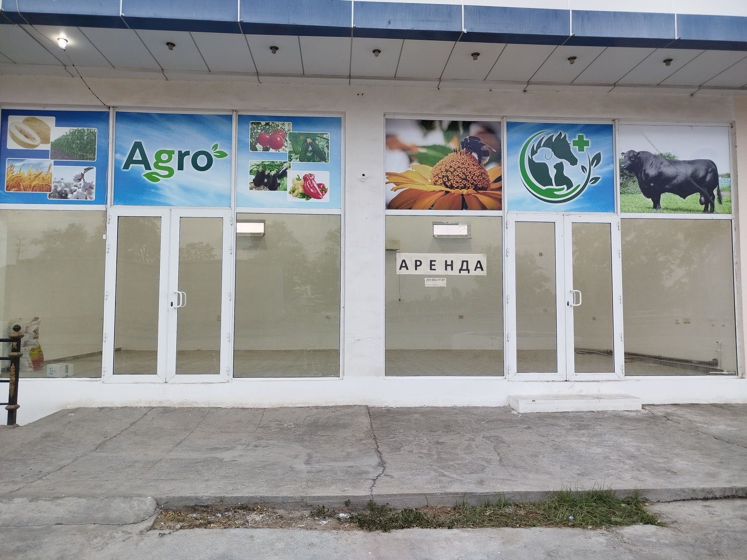 Dokon arenda dokon ijara