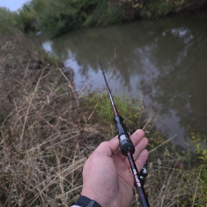 Hearty Rise 7g 198см хърти райз до 7 грама 198см