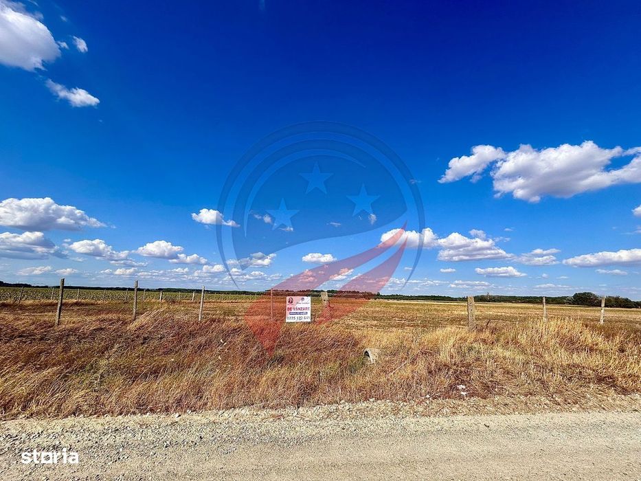 Teren 30.500 mp de vanzare in Livezi, Dolj