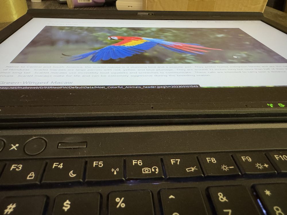Lenovo X230 IPS 8GB RAM 256 SSD
