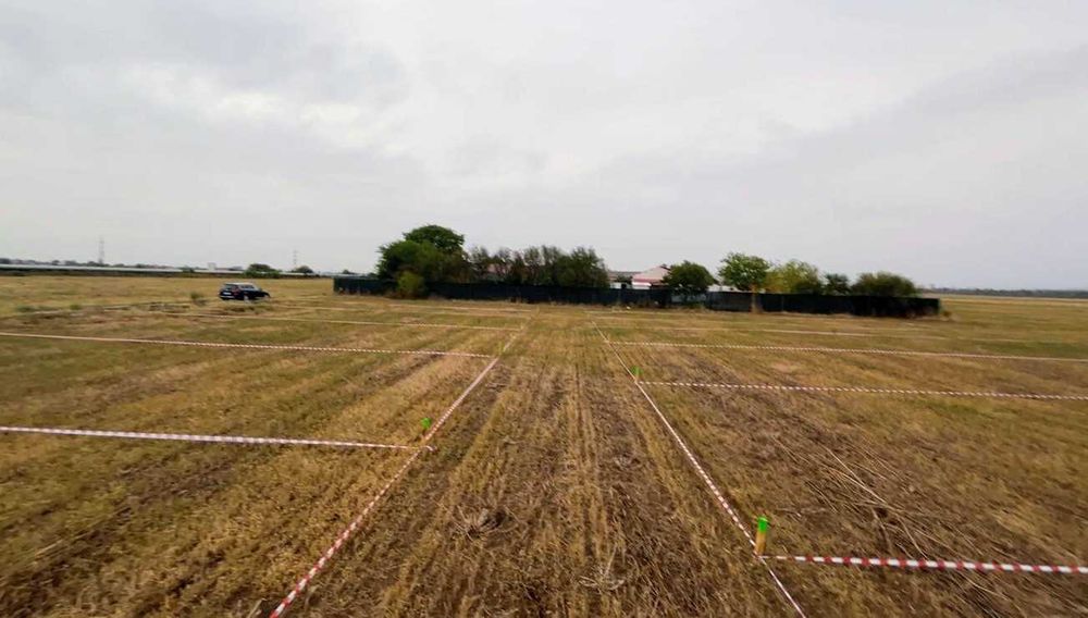 Loturi de grădini Ploiesti - direct proprietar
