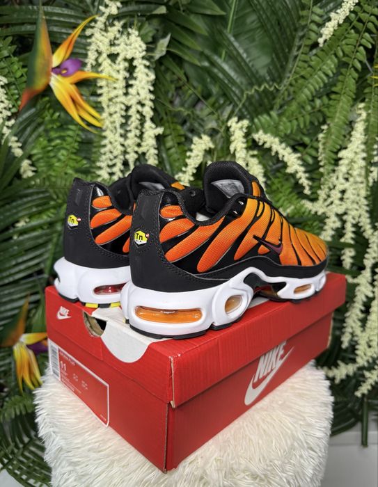 Nike Air Max Plus TN Sunset