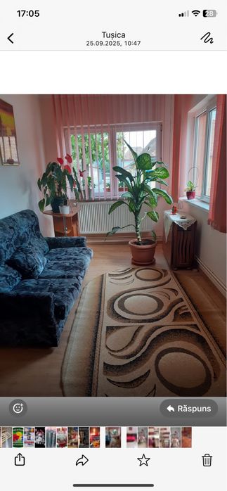 Camera de inchiriat la casa in Sibiu pentru o doamna .