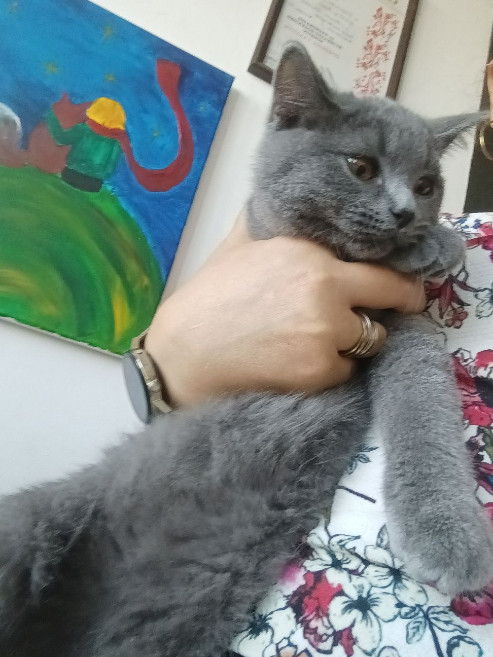 Британка, късокосмест младеж