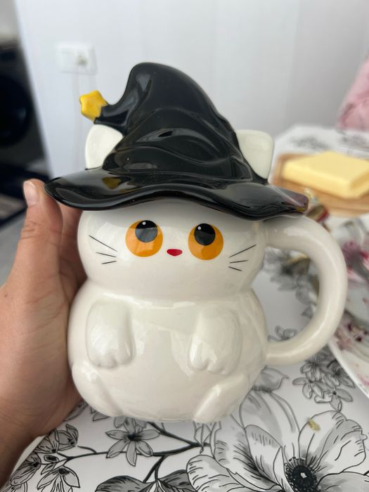 Qopqog'li chinni krushka