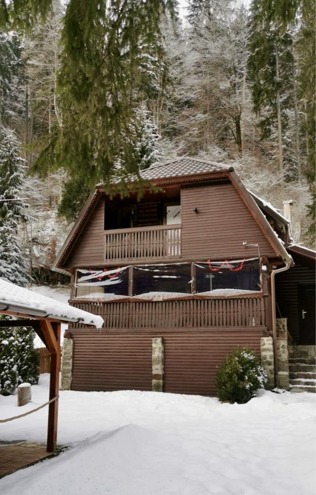 Cabana Lunca Bradului