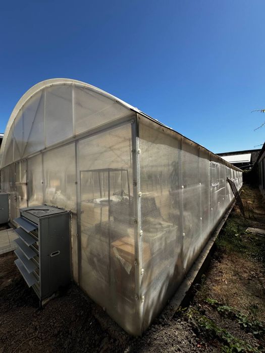 Yil davomida hosil yig'ish uchun katta zamonaviy ISSIQXONA!