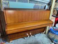 Pianina Maeari- Hyundai