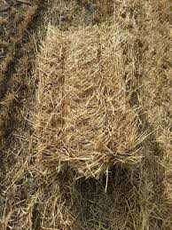 Vand Balotii De Paie Productie 2025