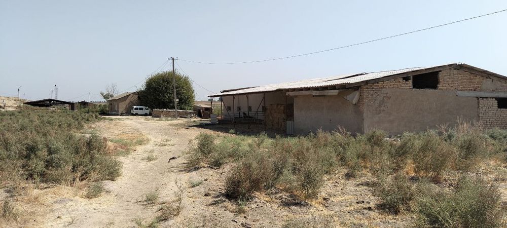 Ферма Янгиюль 3,6 гектар кадастр