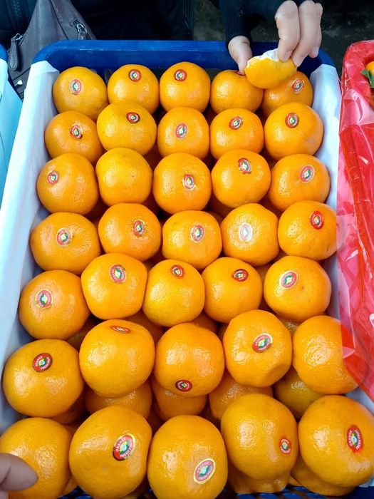 Доставка овощей и фруктов по оптовой цене