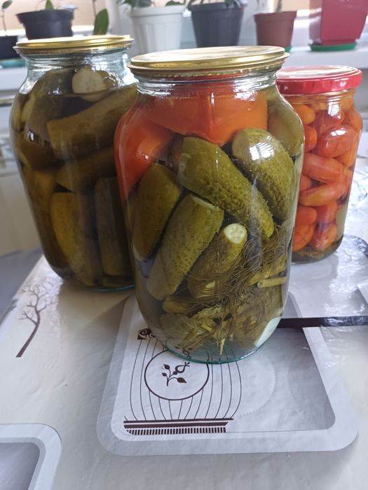 Маринованные огурцы и помидоры