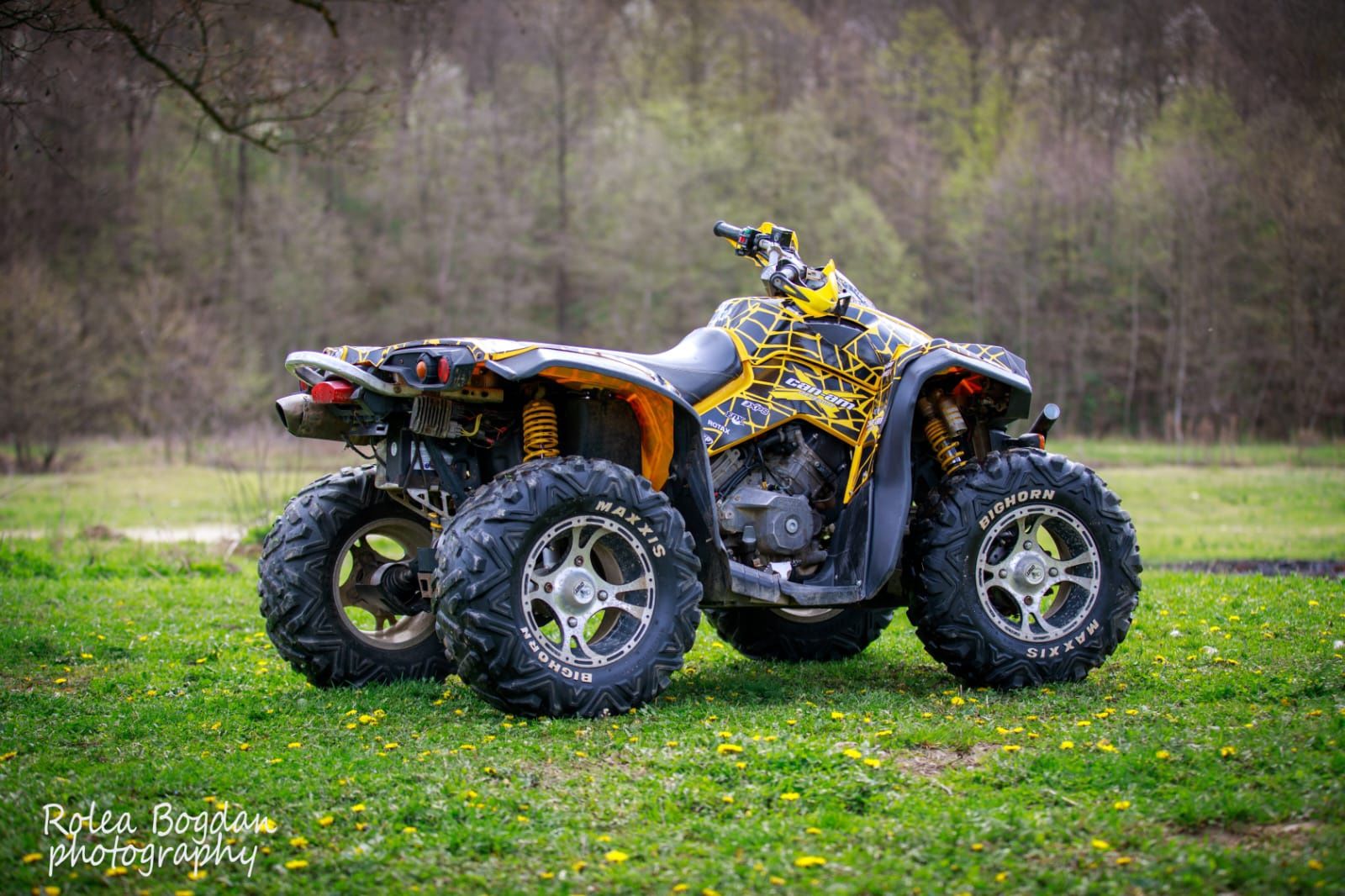 Can Am  800 2008