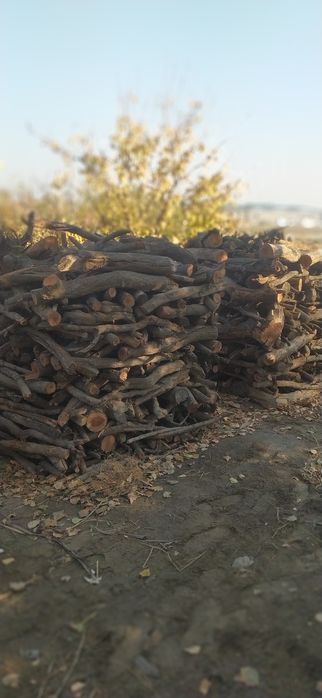 У́тинлар сотилади